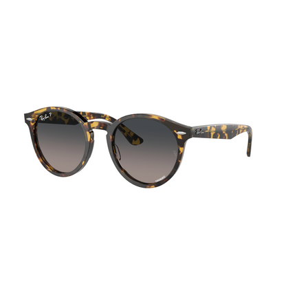 Occhiale da sole Ray Ban RB7680 Larry Uomo e Donna
